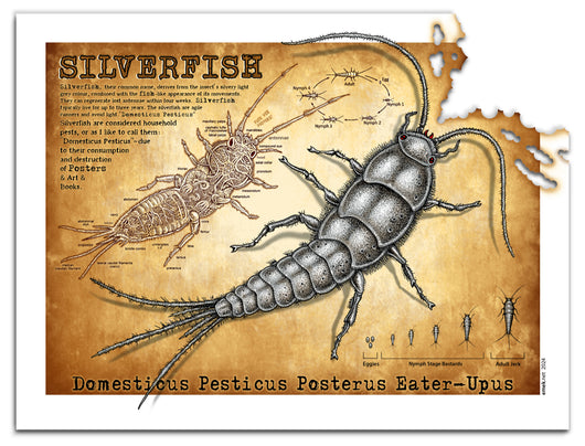 SILVERFISH