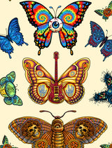 Dead Butterflies Stickers • Signed