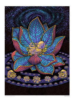 Lotus Baby • Mini Print