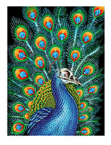 Peacock Mini Print