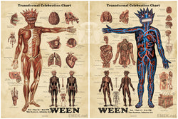 WEEN “Transdermal Celebration chart” (2 posters)