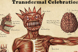 WEEN “Transdermal Celebration chart” (2 posters)