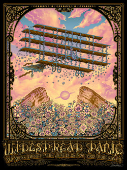Widespread Panic “Airplane” $250 Artist Edition